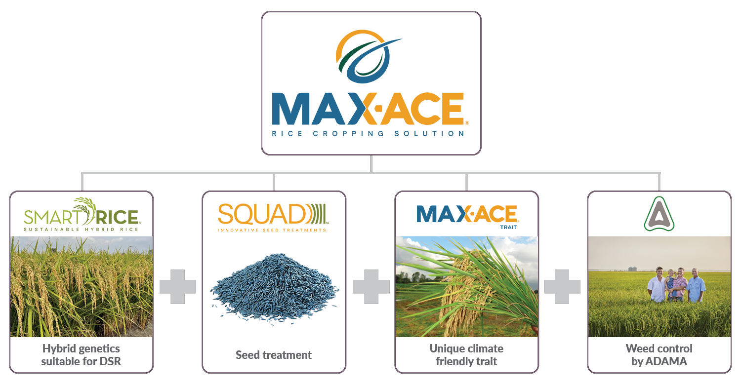 Max-Ace Cropping solution